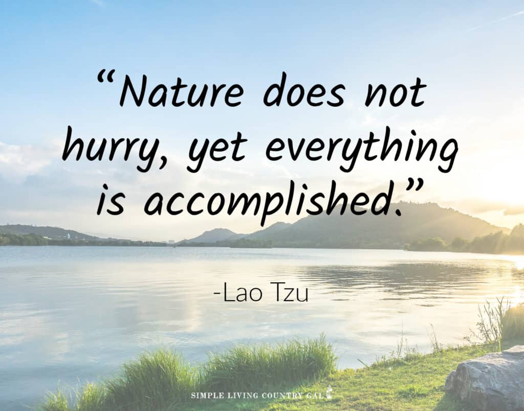 simple living quote_ Nature does not hurry, yet everything is accomplished