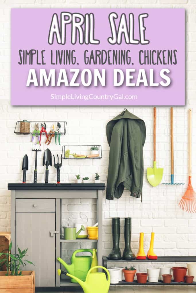 Amazon Deals
