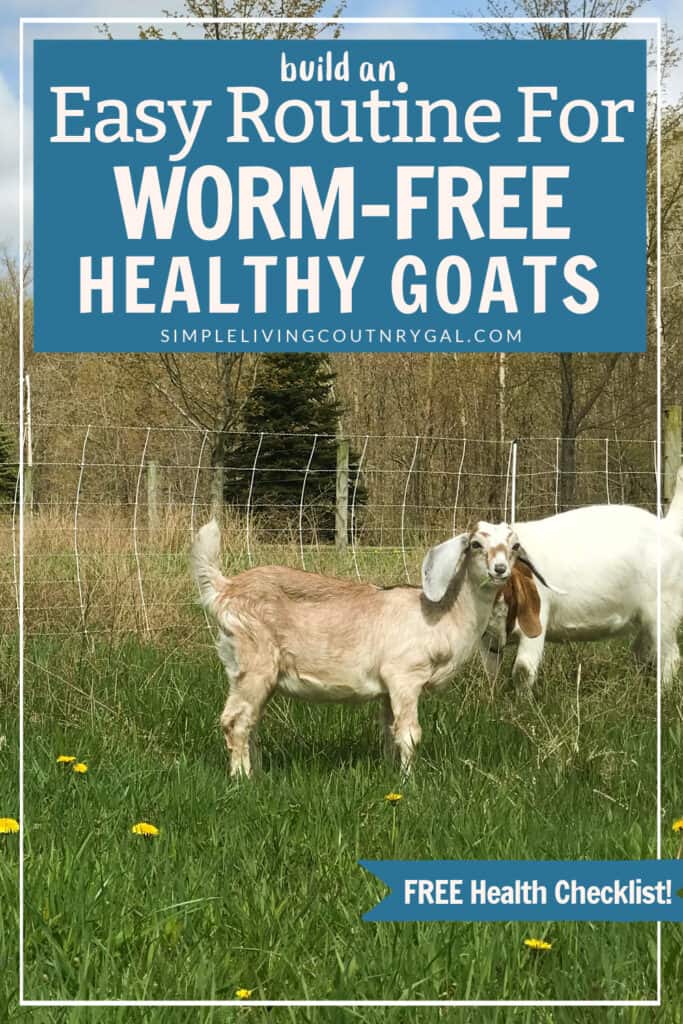 Natural Routine Deworming for Goats