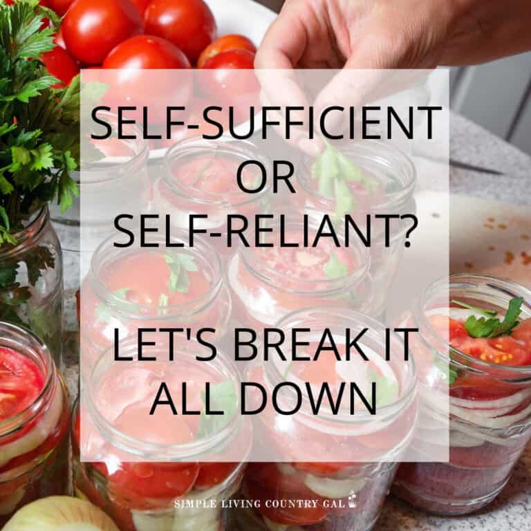 Self-Sufficient vs. Self-Reliant