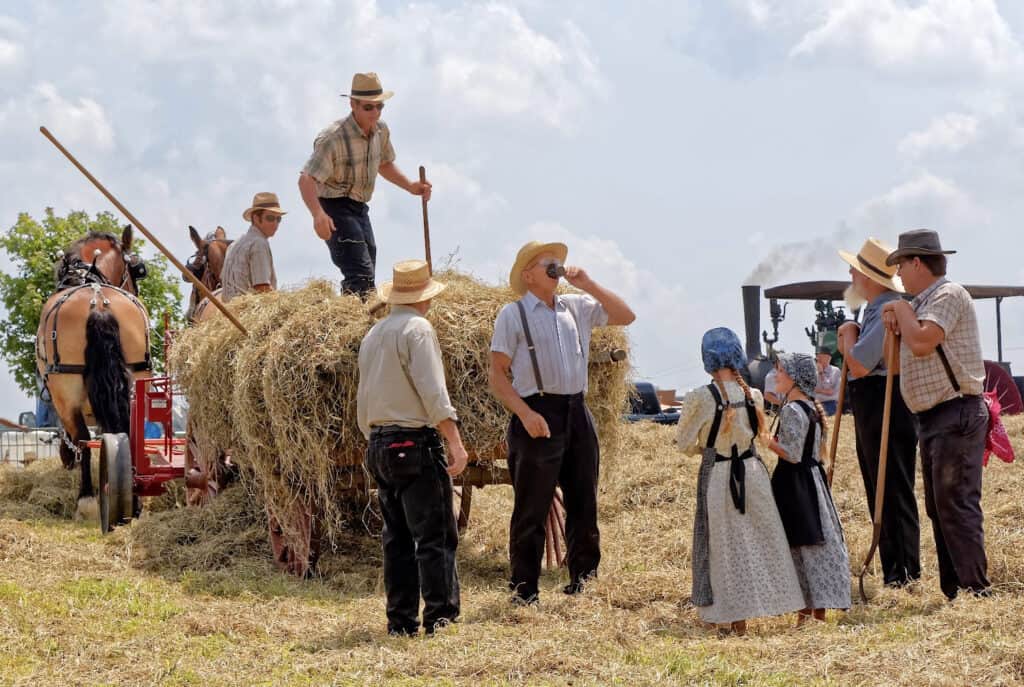 a group of Amish in a pasture nest to a team of horses
