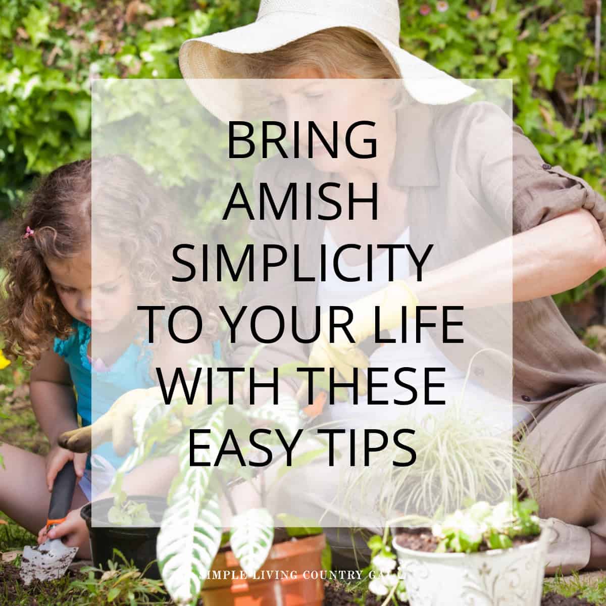 modern day amish lifestyle