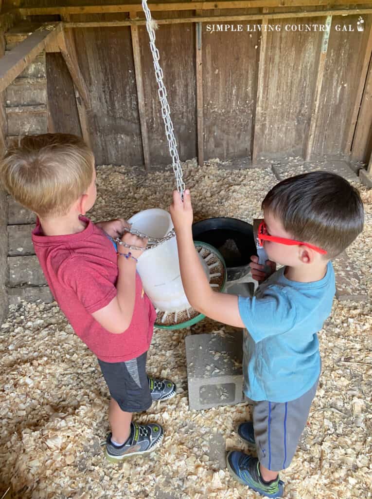 two little boys filling a feeder inside of a chicken coop
