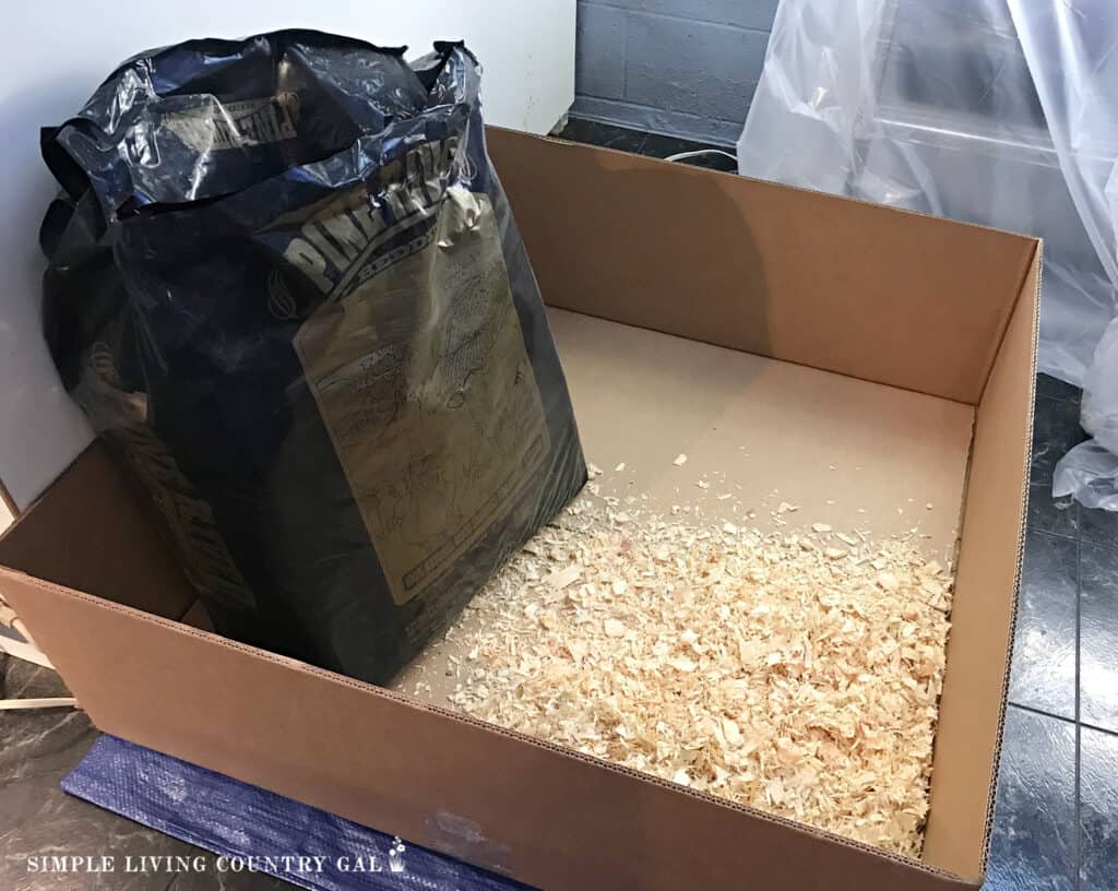 wood shavings in a brooder box