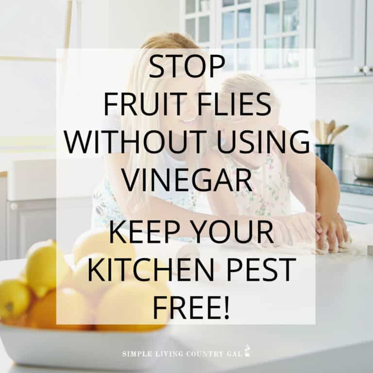 How to Get Rid of Fruit Flies Without Vinegar