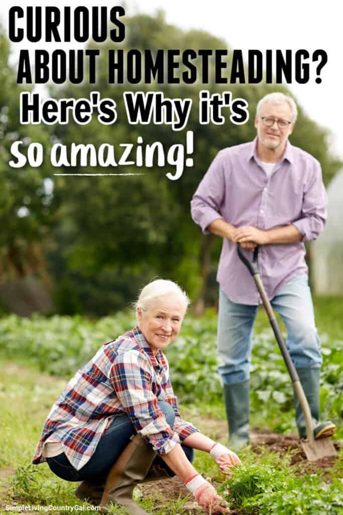 Why a Homesteading Lifestyle is Amazing