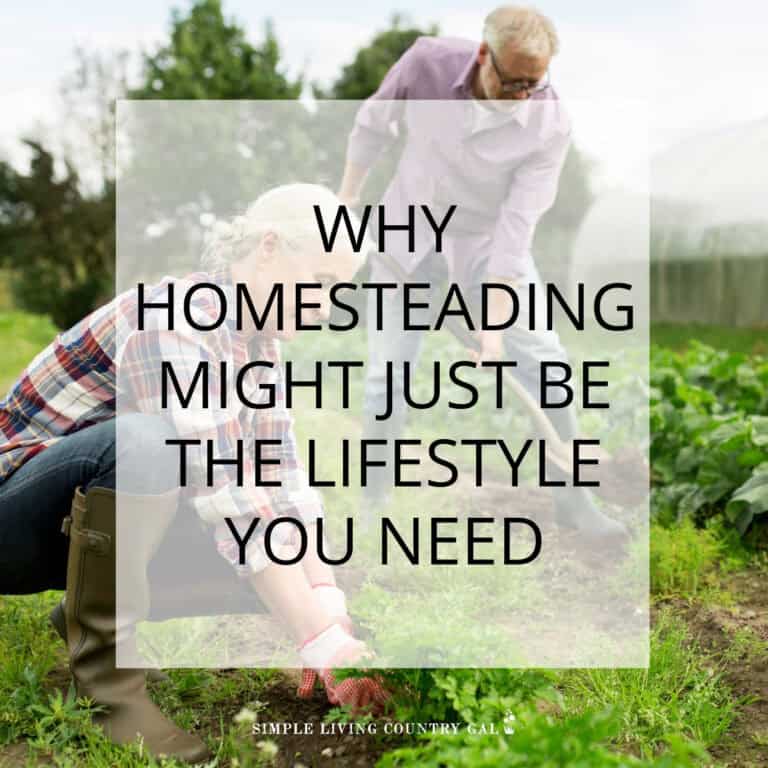 Why a Homesteading Lifestyle is Amazing