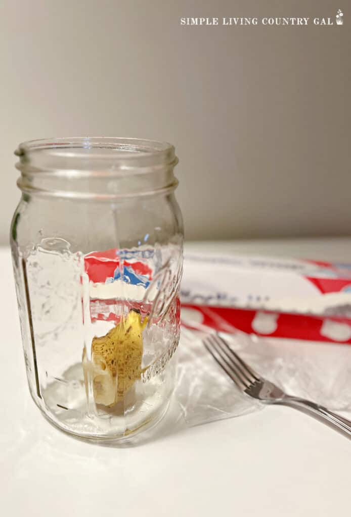 a banana in a jar for a fruit fly trap