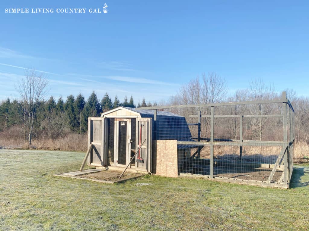 a shed that was turned into a chicken coop with an enclosed outside run