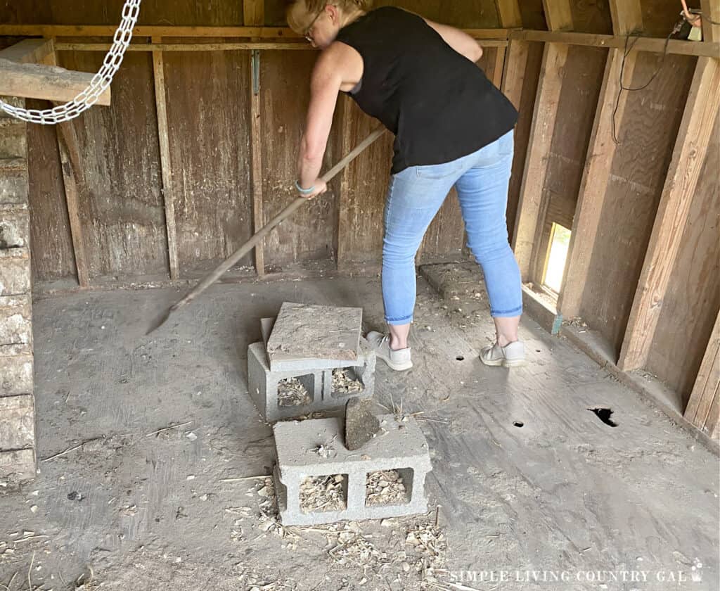 a woman cleaning the floor of a chicken coop with a scraper
