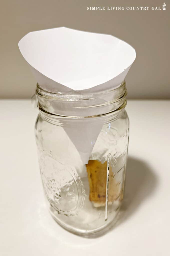 funnel in a jar for a fruit fly trap