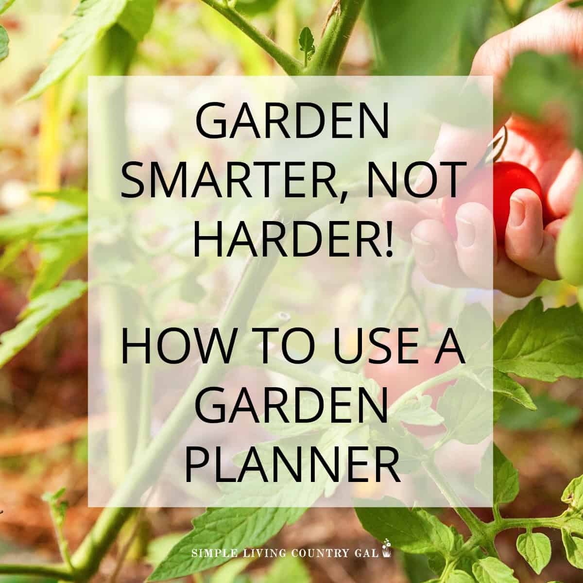 How to Use a Garden Planner for Better Gardening | Simple Living ...