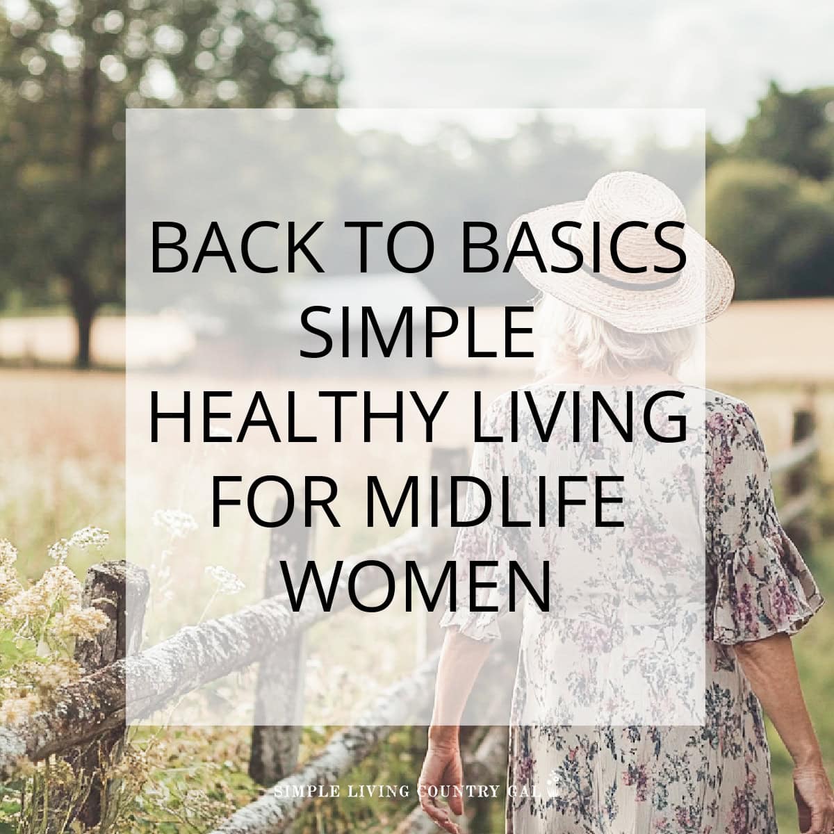 back to basics living