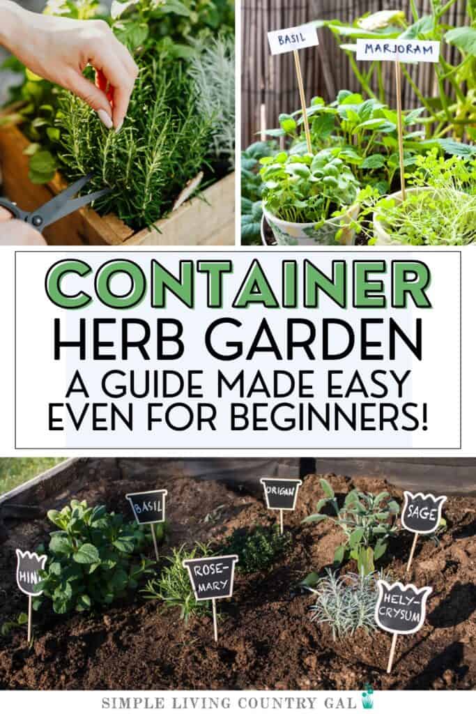 how to grow herbs in containers