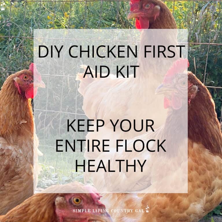 HOW TO BUILD A CHICKEN FIRST AID KIT