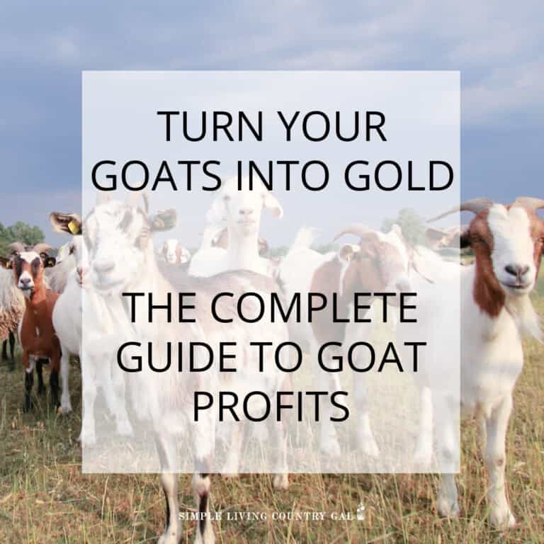 HOW TO MAKE MONEY WITH GOATS