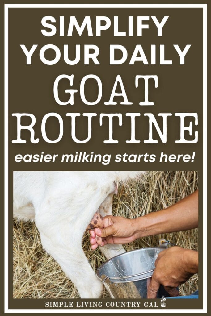 Simplify Your Dairy Goat Routine: Easier Milking Starts Here!