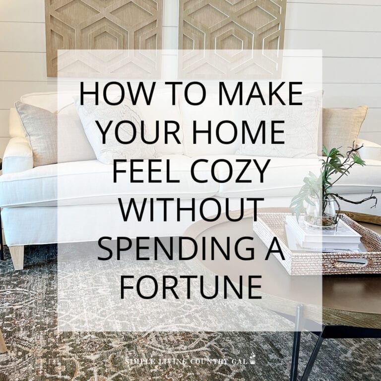 How to Create a Cozy, Sustainable Home on a Budget