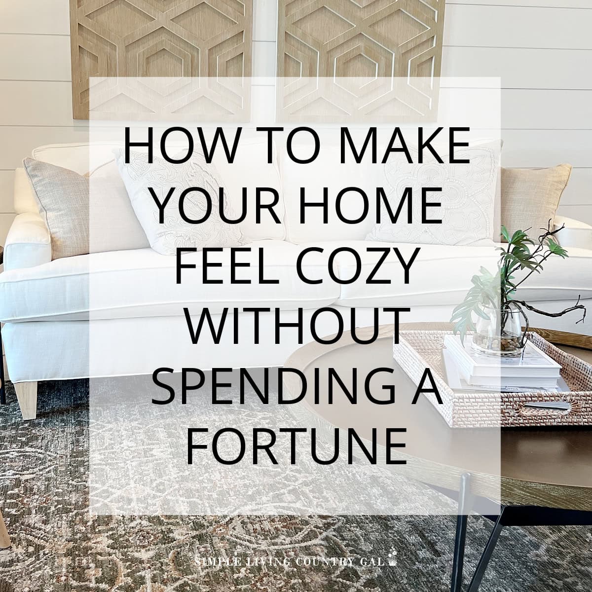 How to Create a Cozy, Sustainable Home on a Budget