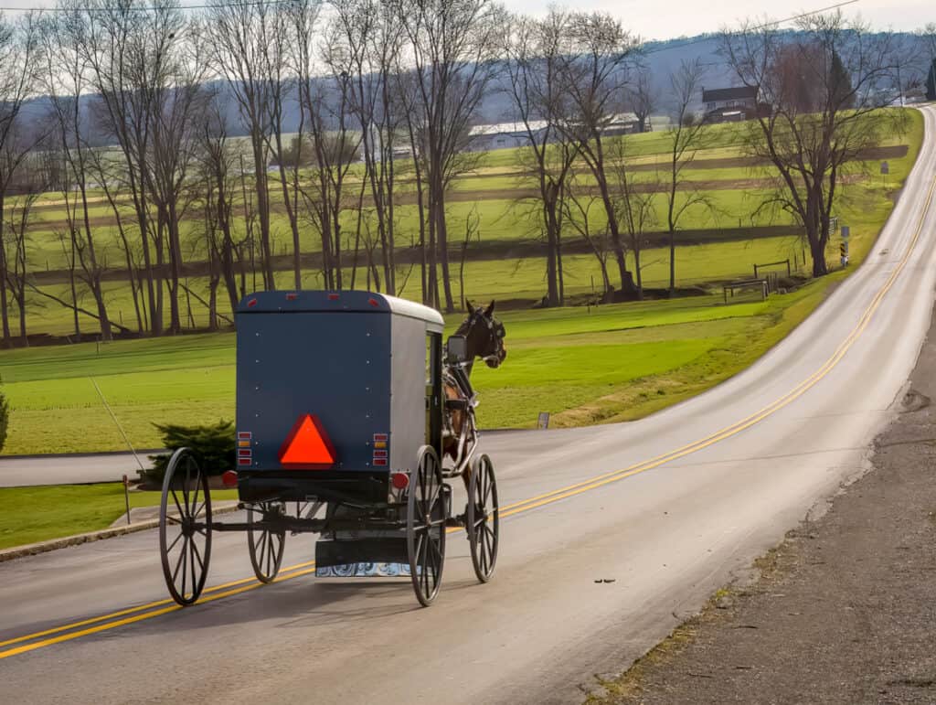 an amish buggy on a road in the country
