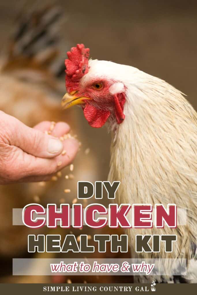 DIY Chicken Health Kit-What to have and Why