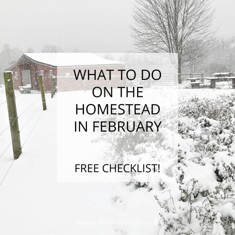 February homesteading to-do list