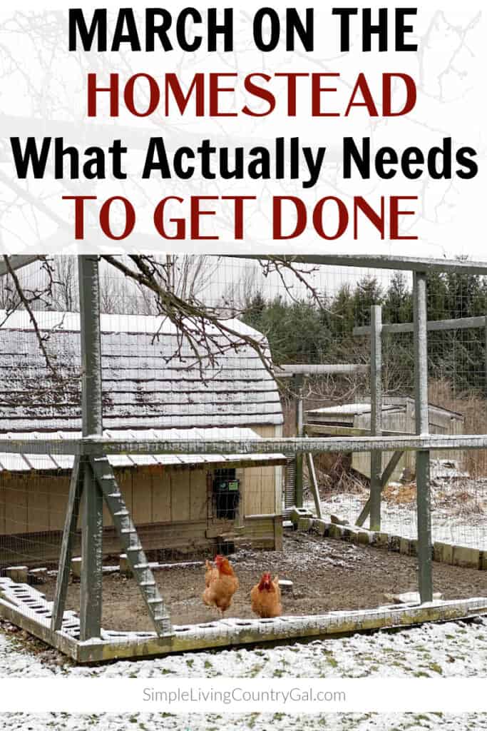 MARCH HOMESTEADING TO-DO LIST