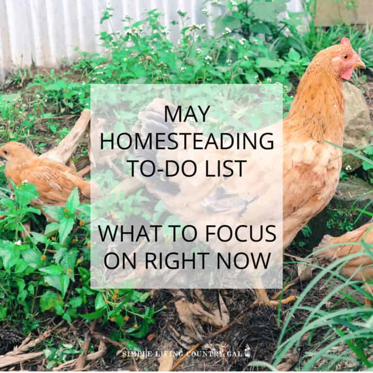 May Homesteading To-Do List