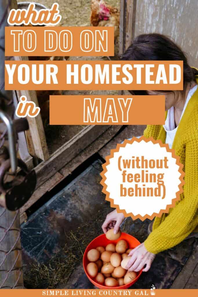 What to Do on Your Homestead in May (Without Feeling Behind)