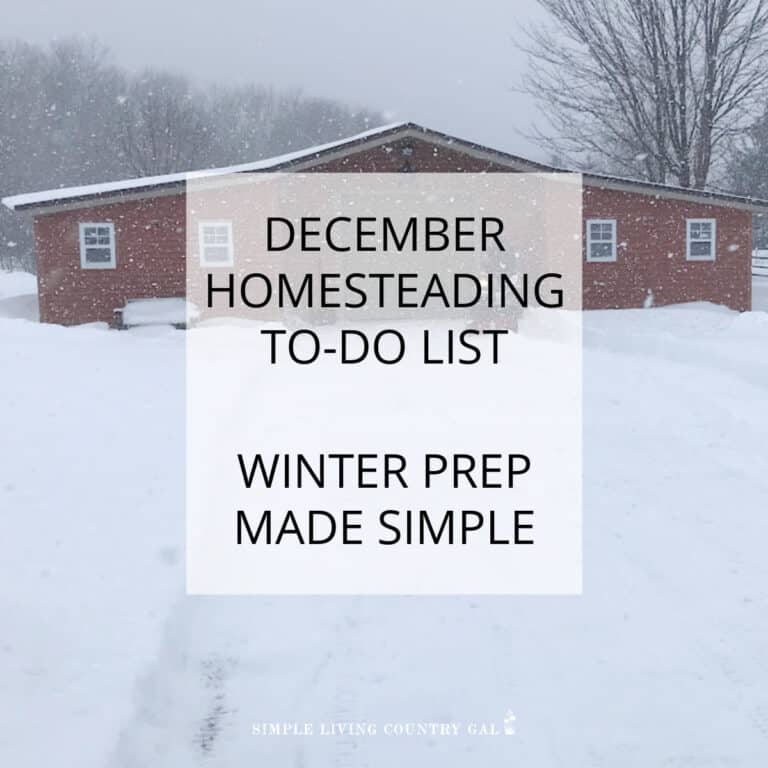 December Homesteading To-Do List