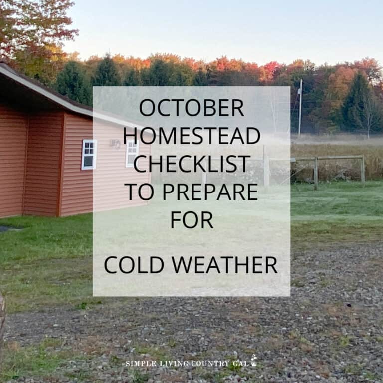 OCTOBER homesteading to-do list