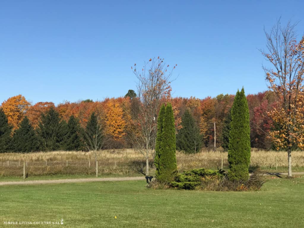 fall landscape of a pasture on a homestead in october