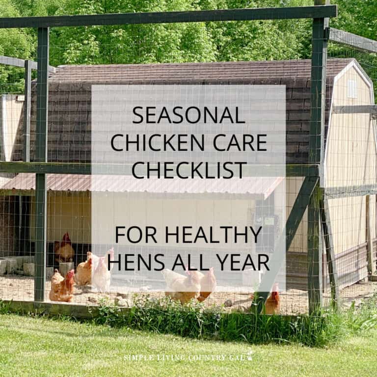 Seasonal Chicken Care Checklist