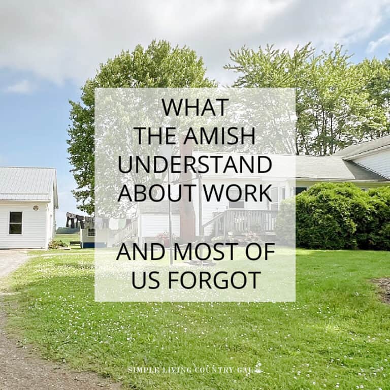 AMISH WORK ETHIC