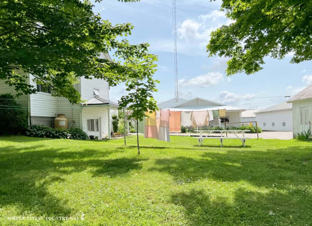 Amish clothes drying on a line in a green quiet yard