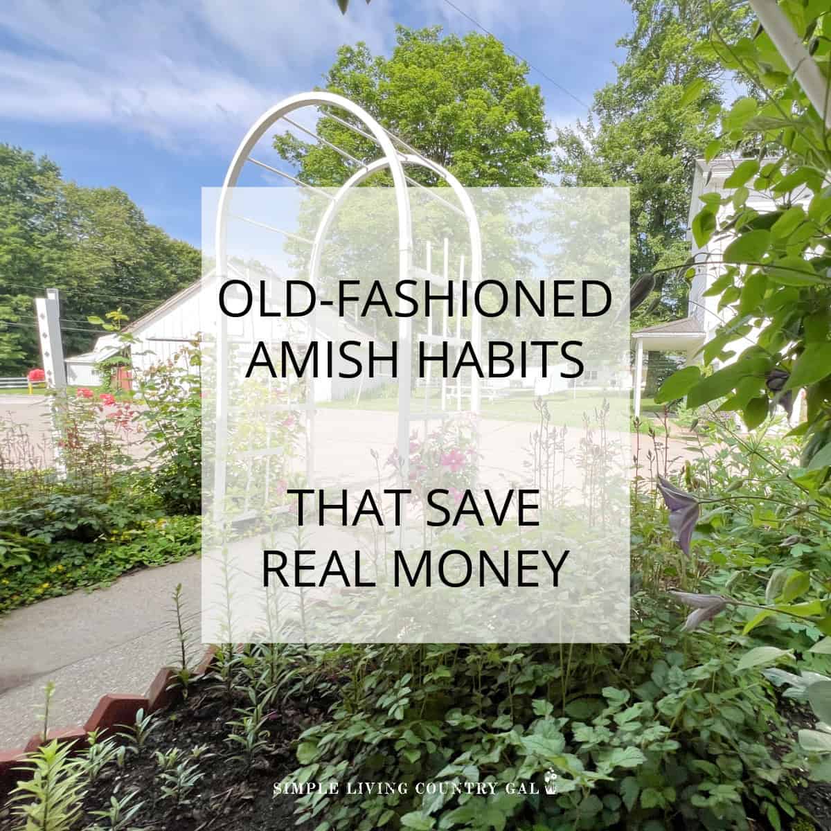 Amish money habits