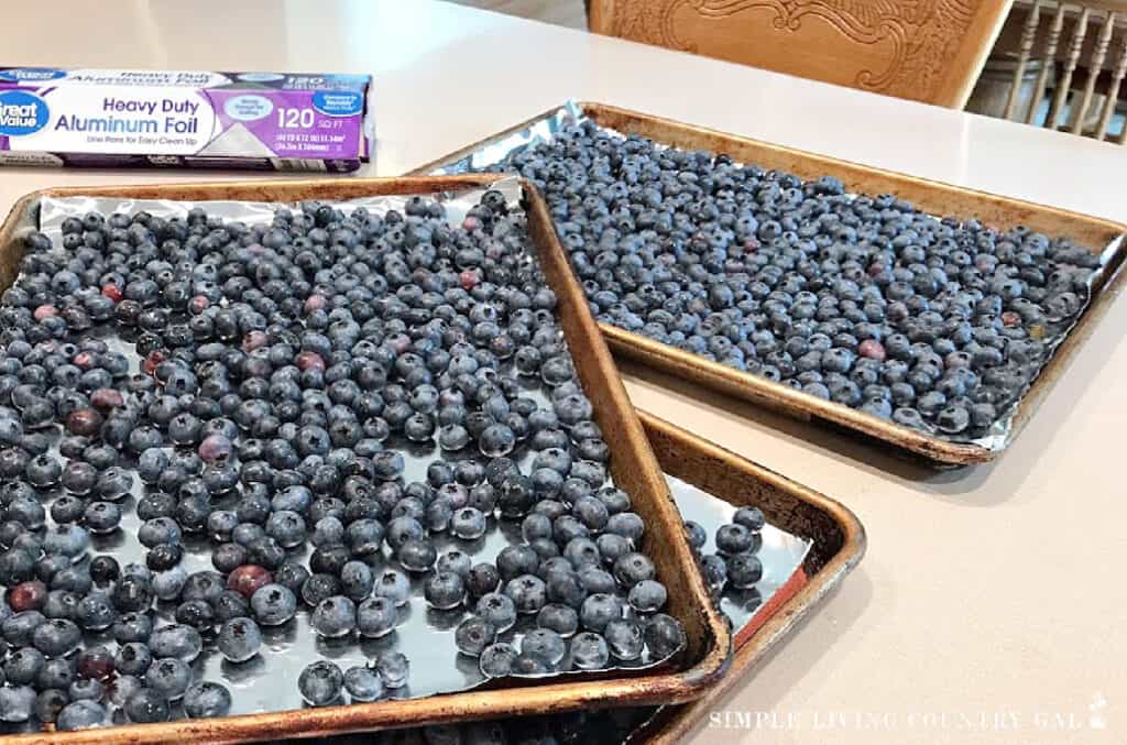 blueberries on cookie sheet ready to freeze
