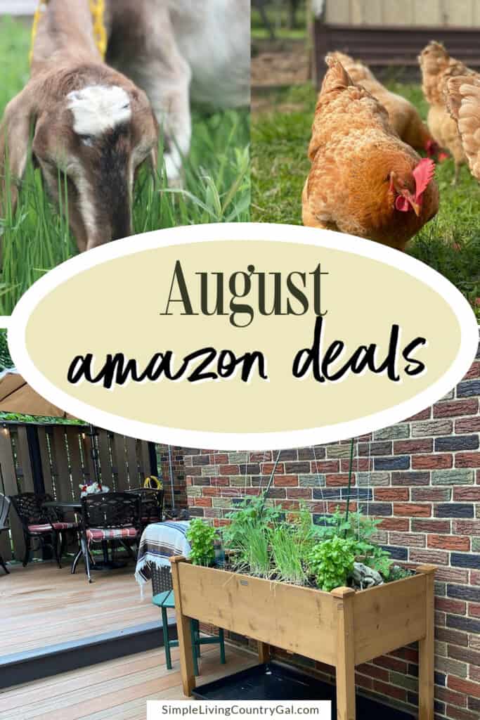amazon deals page
